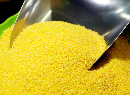 食物黄金---小米的营养价值