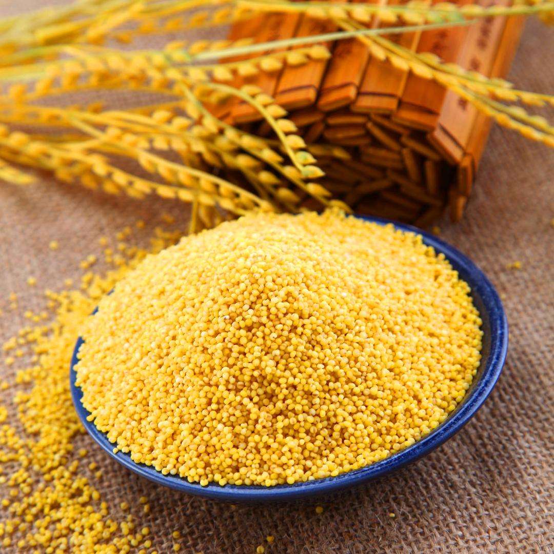 龙山小米有哪些营养成分和功效。